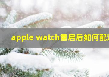 apple watch重启后如何配对